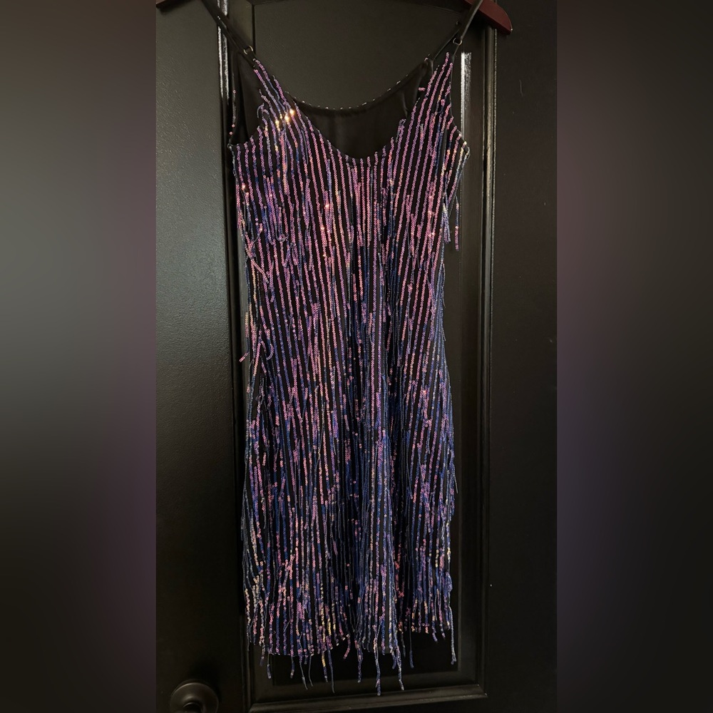 Bear Dance Mini Sequin Dress